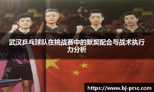 必一运动B-Sports